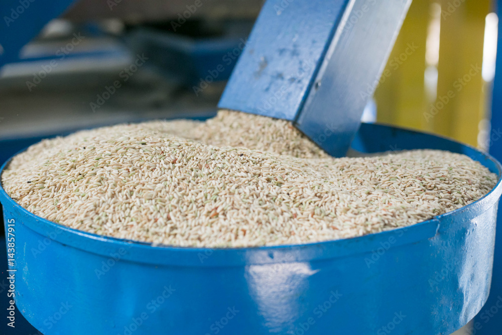 Rice Milling installations